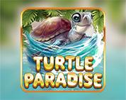 Turtle Paradise